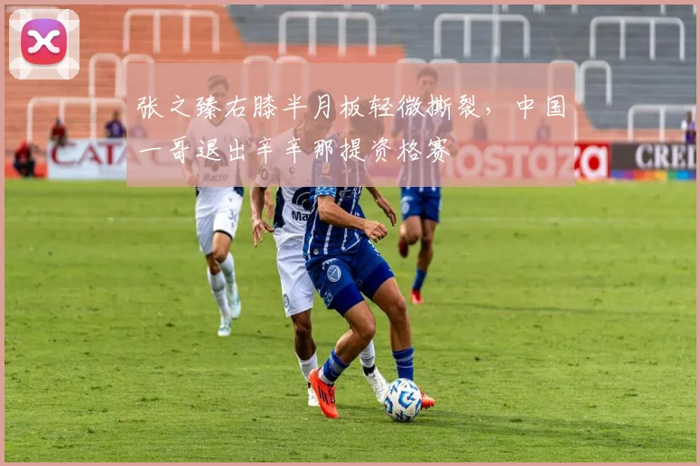 张之臻右膝半月板轻微撕裂,中国一哥退出辛辛那提资格赛
